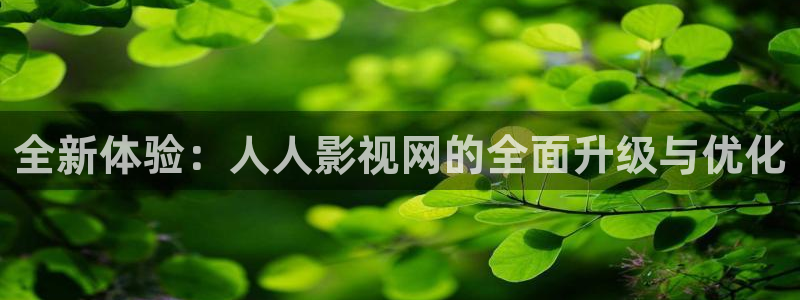 yy4480.co：全新体验：人人影视网的全面升级与优化