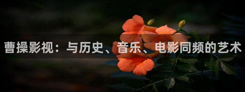 yy4480私人影院：曹操影视：与历史、音乐、电影同频的艺术