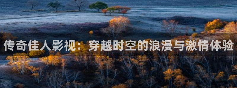 yy4480万利达：传奇佳人影视：穿越时空的浪漫与激情体验
