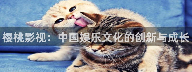 yy4480在线免费观看：樱桃影视：中国娱乐文化的创新与成长