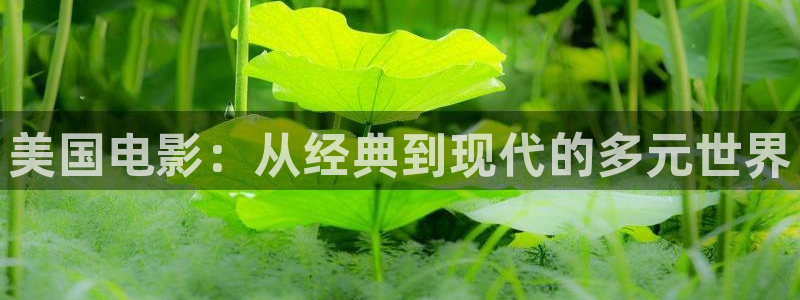 yy4480新觉影院