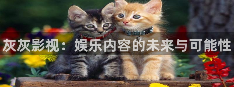 yy4480影院在线：灰灰影视：娱乐内容的未来与可能性