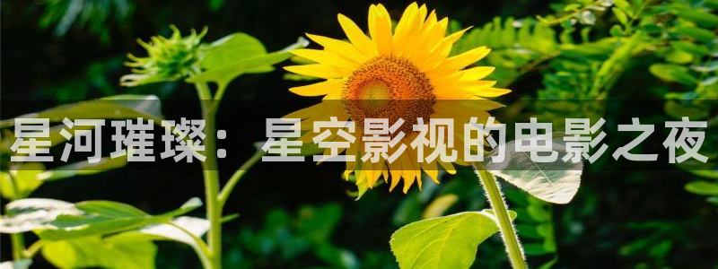 yy4480万利达影院
