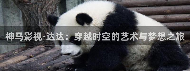 yy4480免费高清电影院