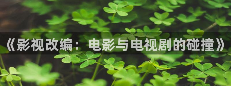 yy4480电影：《影视改编：电影与电视剧的碰撞》