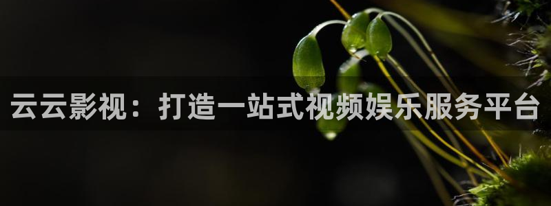 青苹果影院yy4480在线