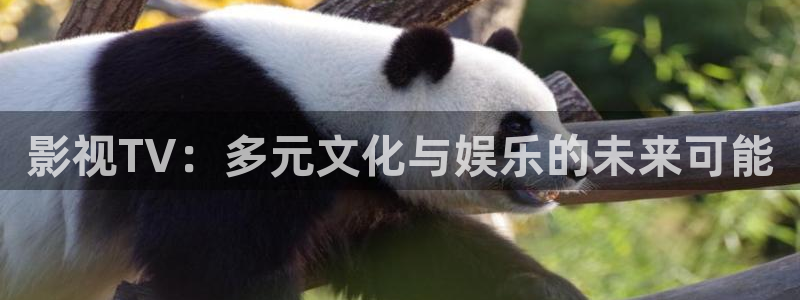 yy4480理论片：影视TV：多元文化与娱乐的未来可能