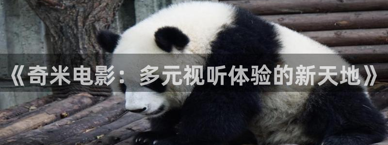 yy4480影院在线观看：《奇米电影：多元视听体验的新天地》